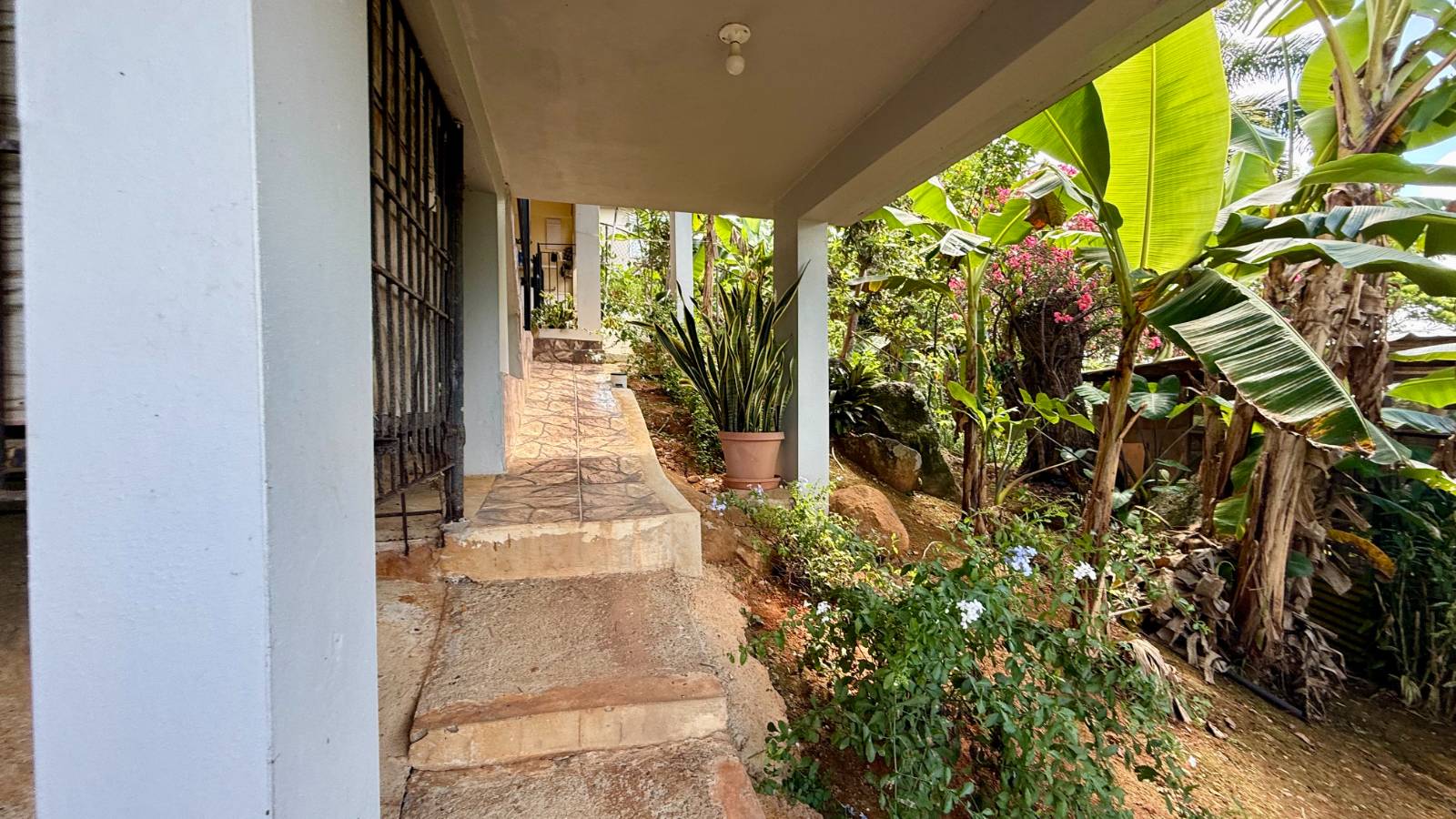 Lot 1, Rd.957, Km 3.7 Int. Palma Sola Ward, Canovanas - 81