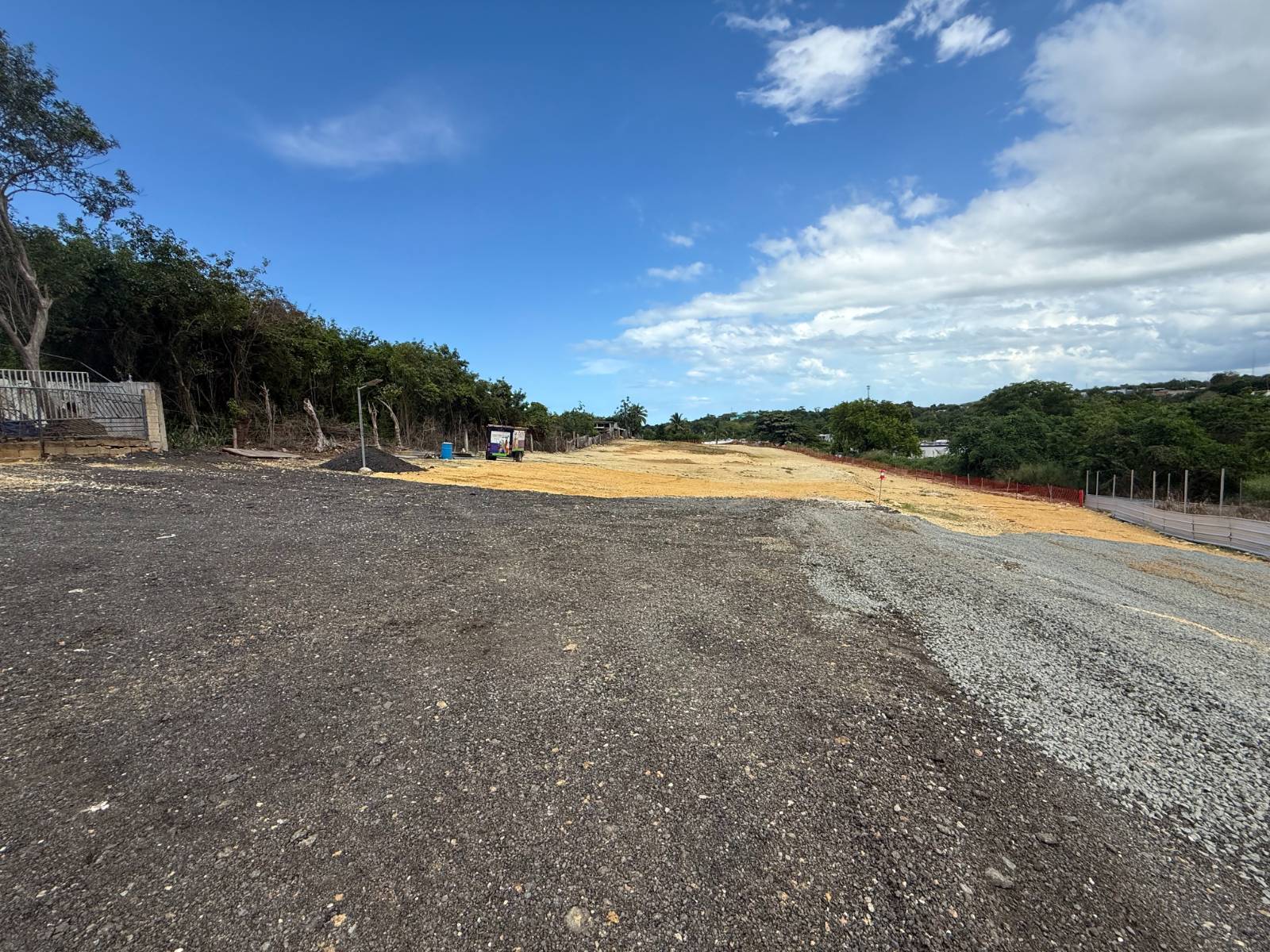 474, Felipe Mendez Bo Guayabo, Isabela - 12
