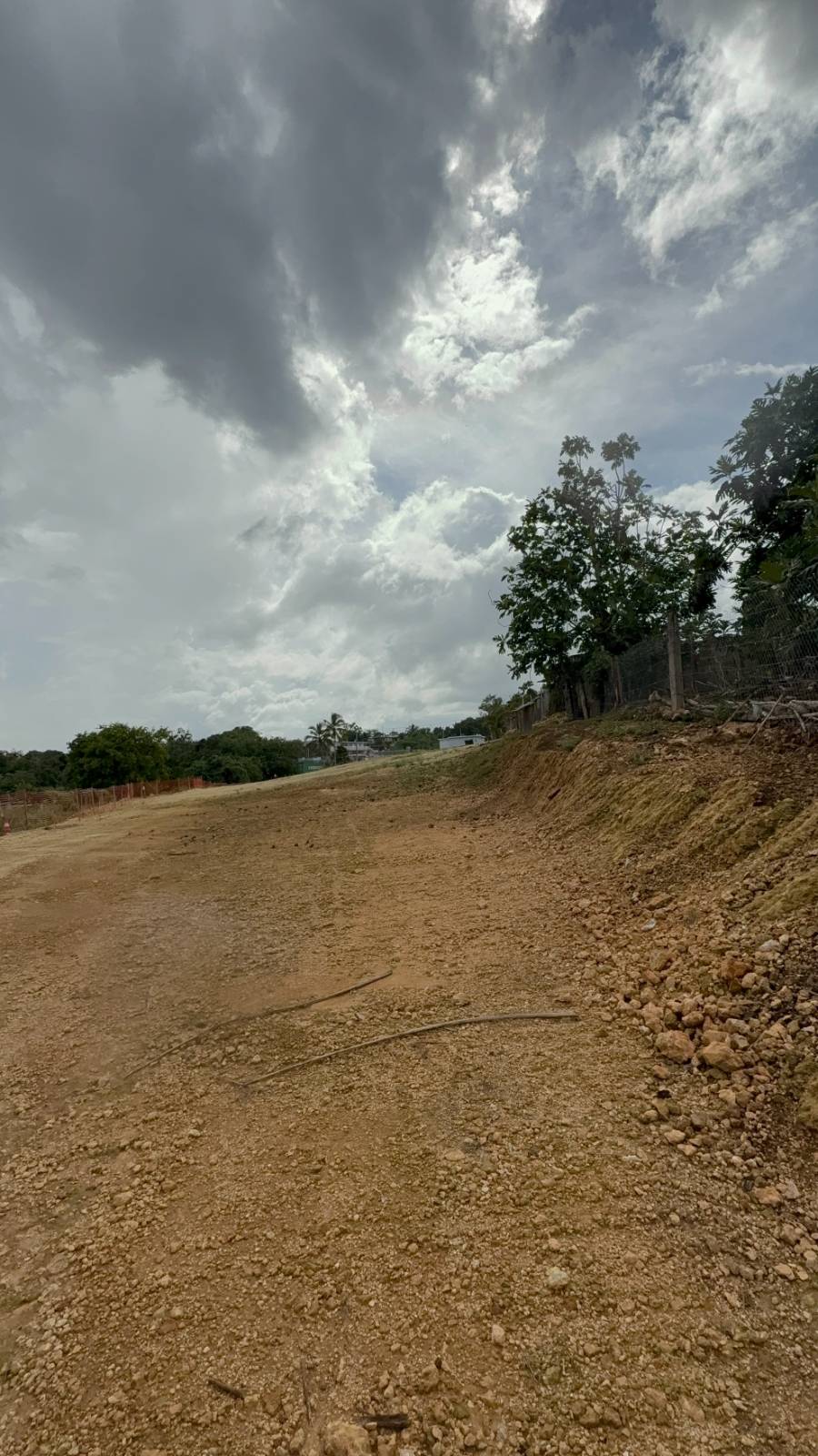 474, Felipe Mendez Bo Guayabo, Isabela - 20