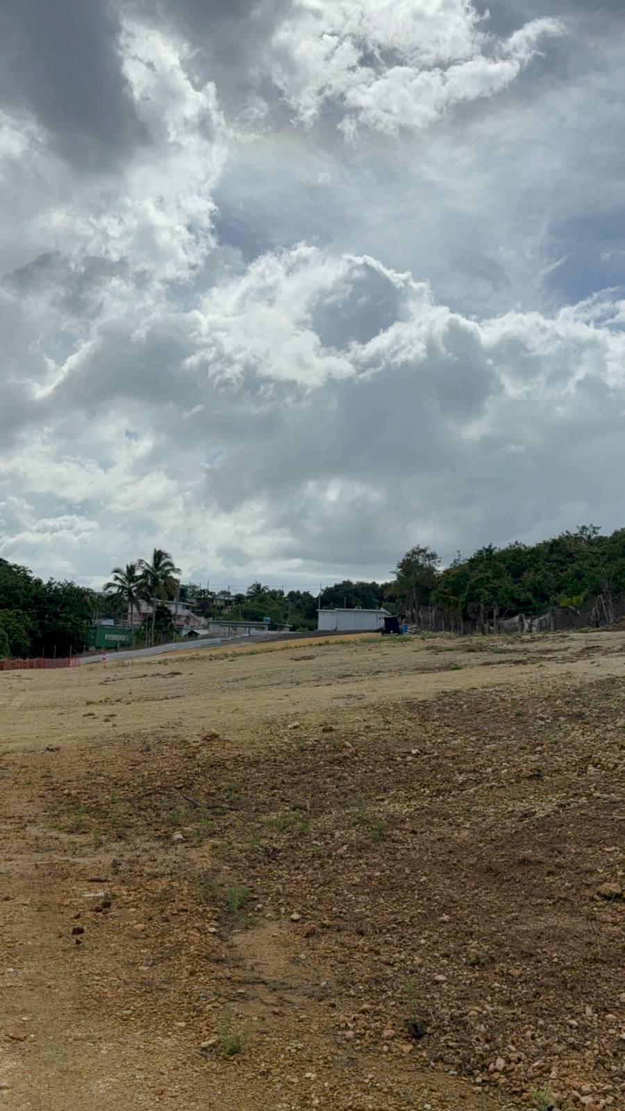 474, Felipe Mendez Bo Guayabo, Isabela - 23