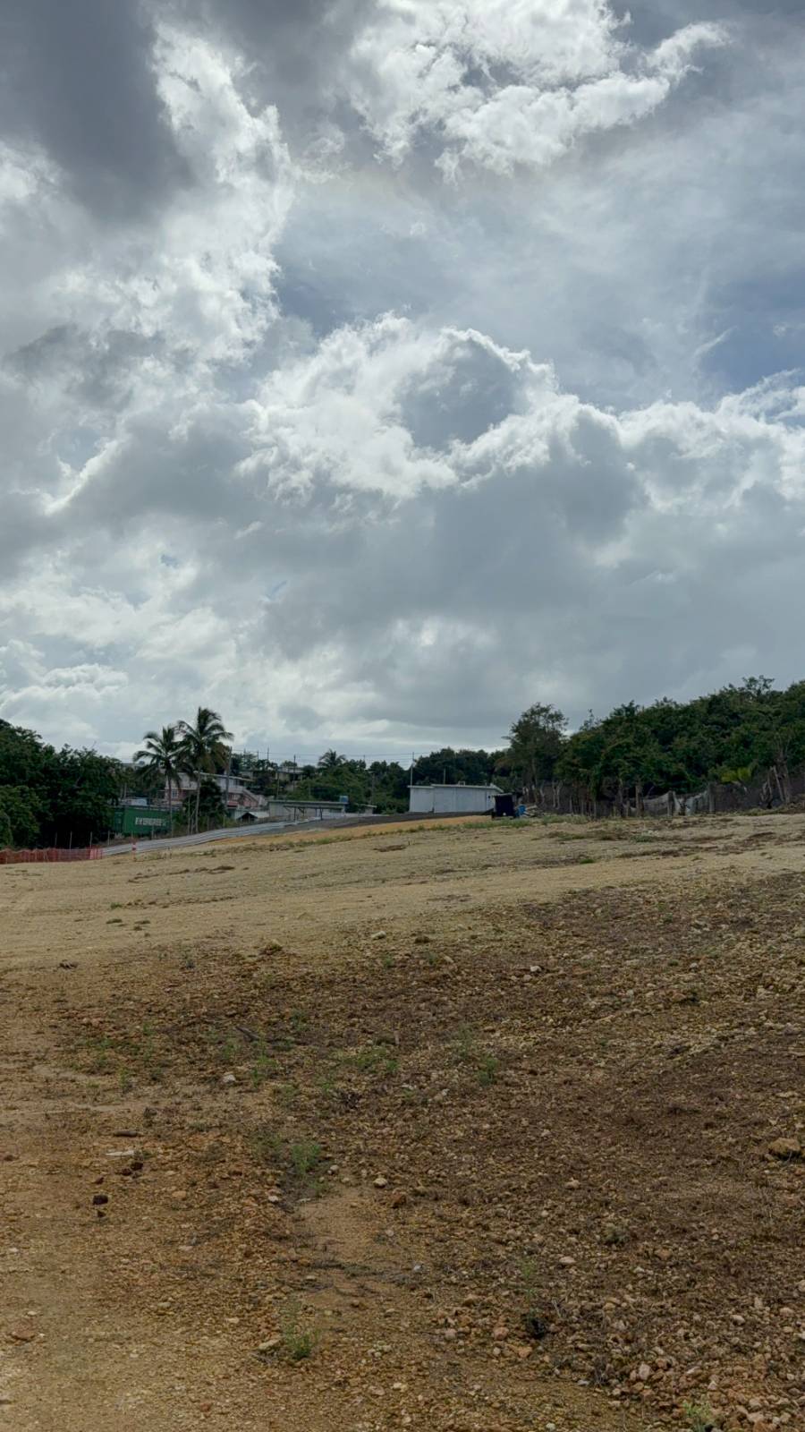 474, Felipe Mendez Bo Guayabo, Isabela - 24