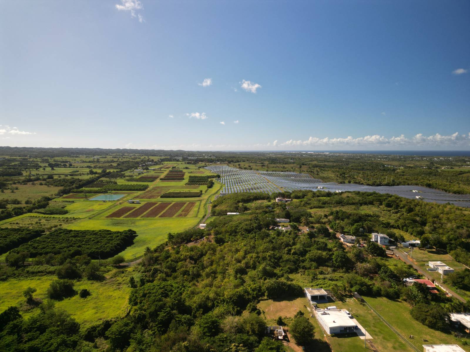 474, Felipe Mendez Bo Guayabo, Isabela - 37