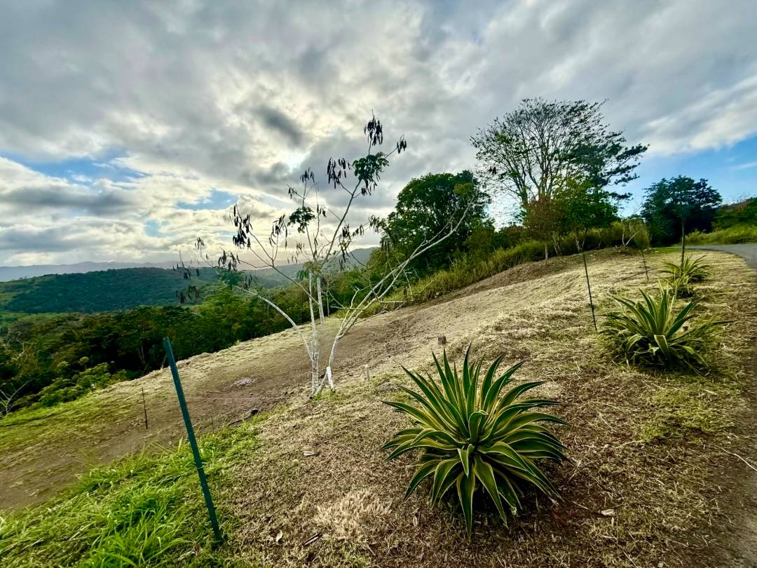 1, Cidra, Campo Bello, Cidra - 1