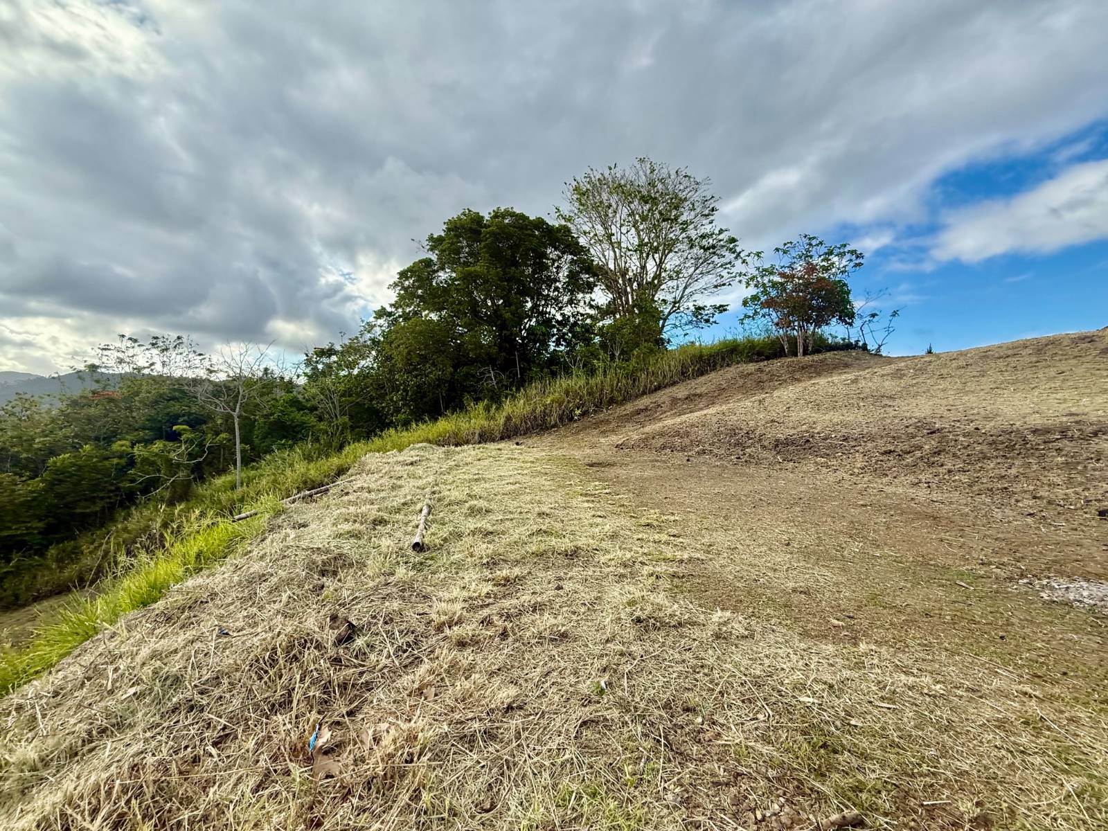 1, Cidra, Campo Bello, Cidra - 13