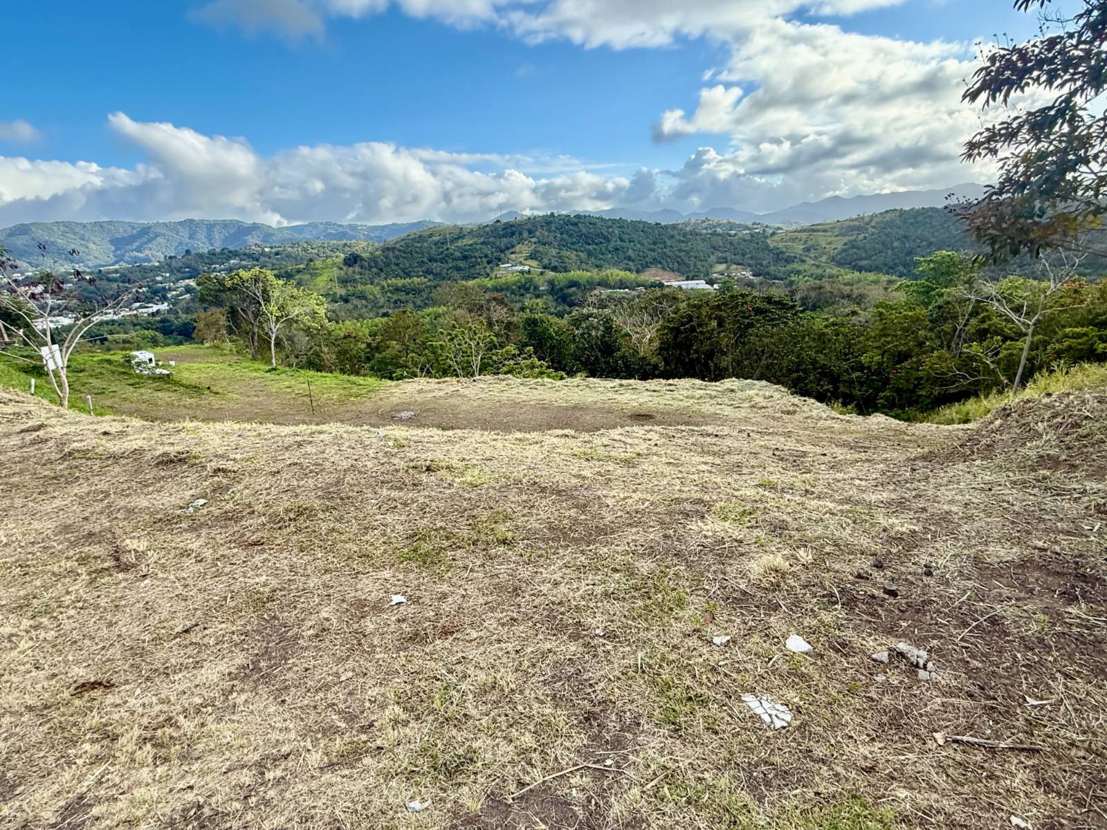 1, Cidra, Campo Bello, Cidra - 15