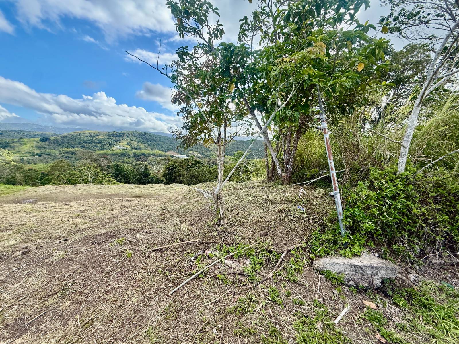 1, Cidra, Campo Bello, Cidra - 6