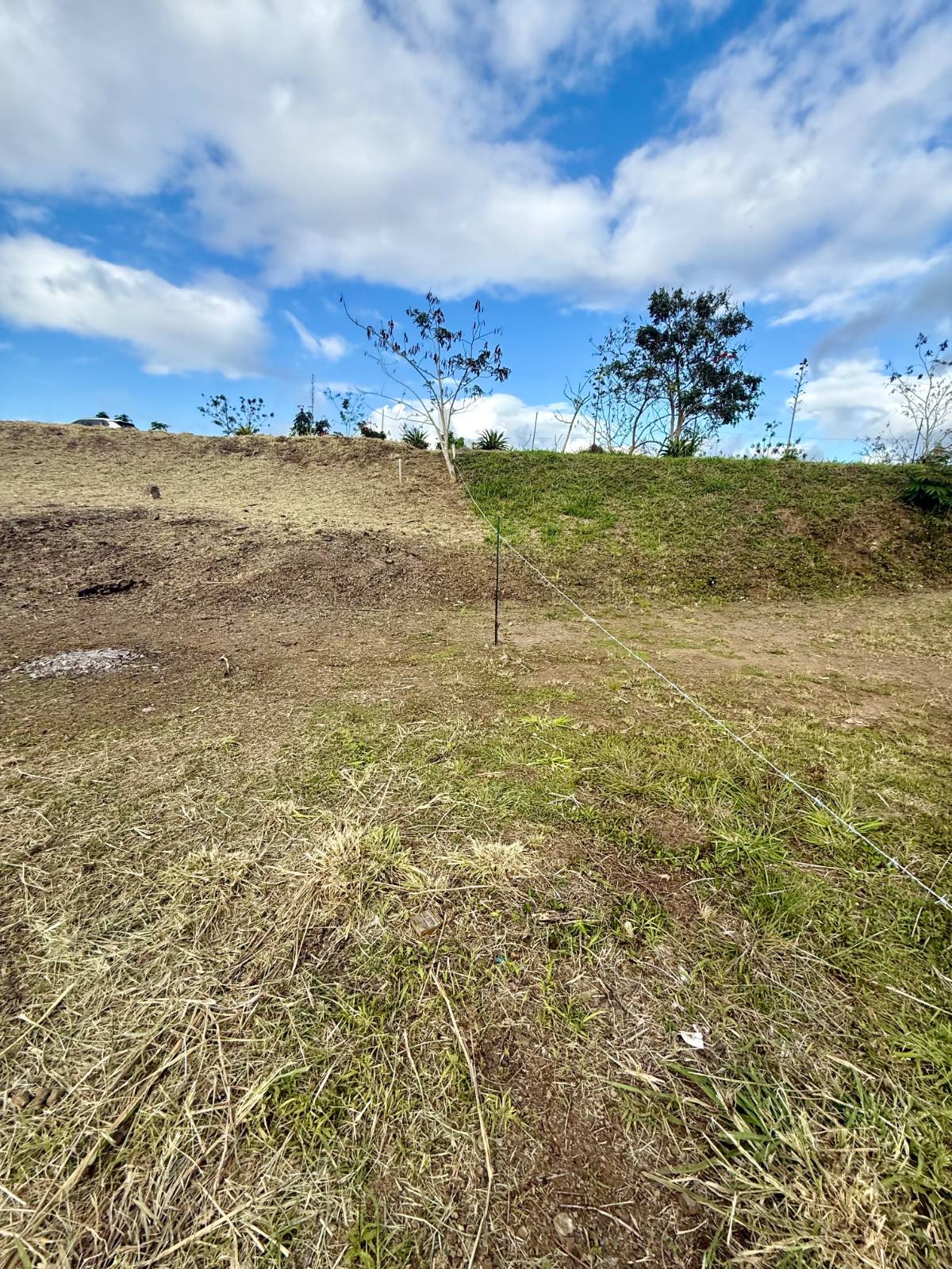 1, Cidra, Campo Bello, Cidra - 9