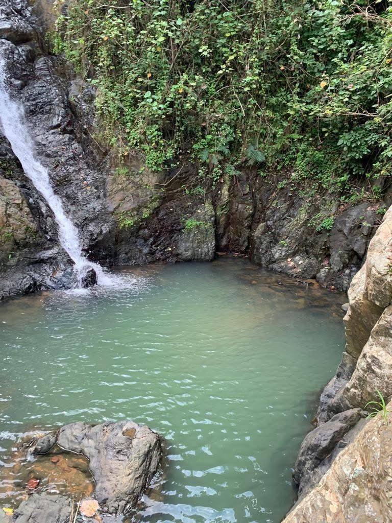 Carr.568, Bo Palmarito, Corozal - 2