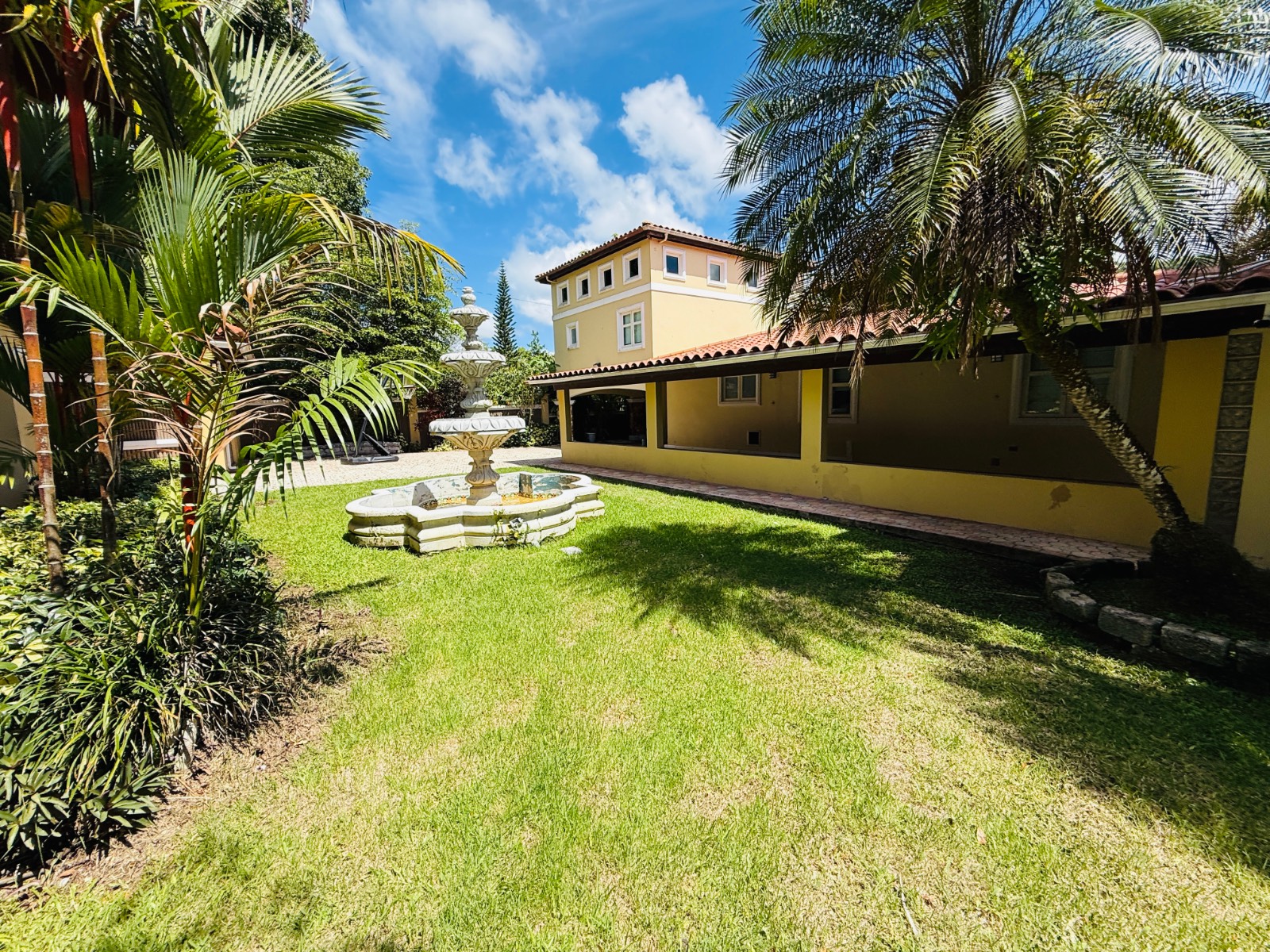 Cash Sale 818, Km. 3.5 Cibuco (15 Minutes From Dorado), Corozal - 26