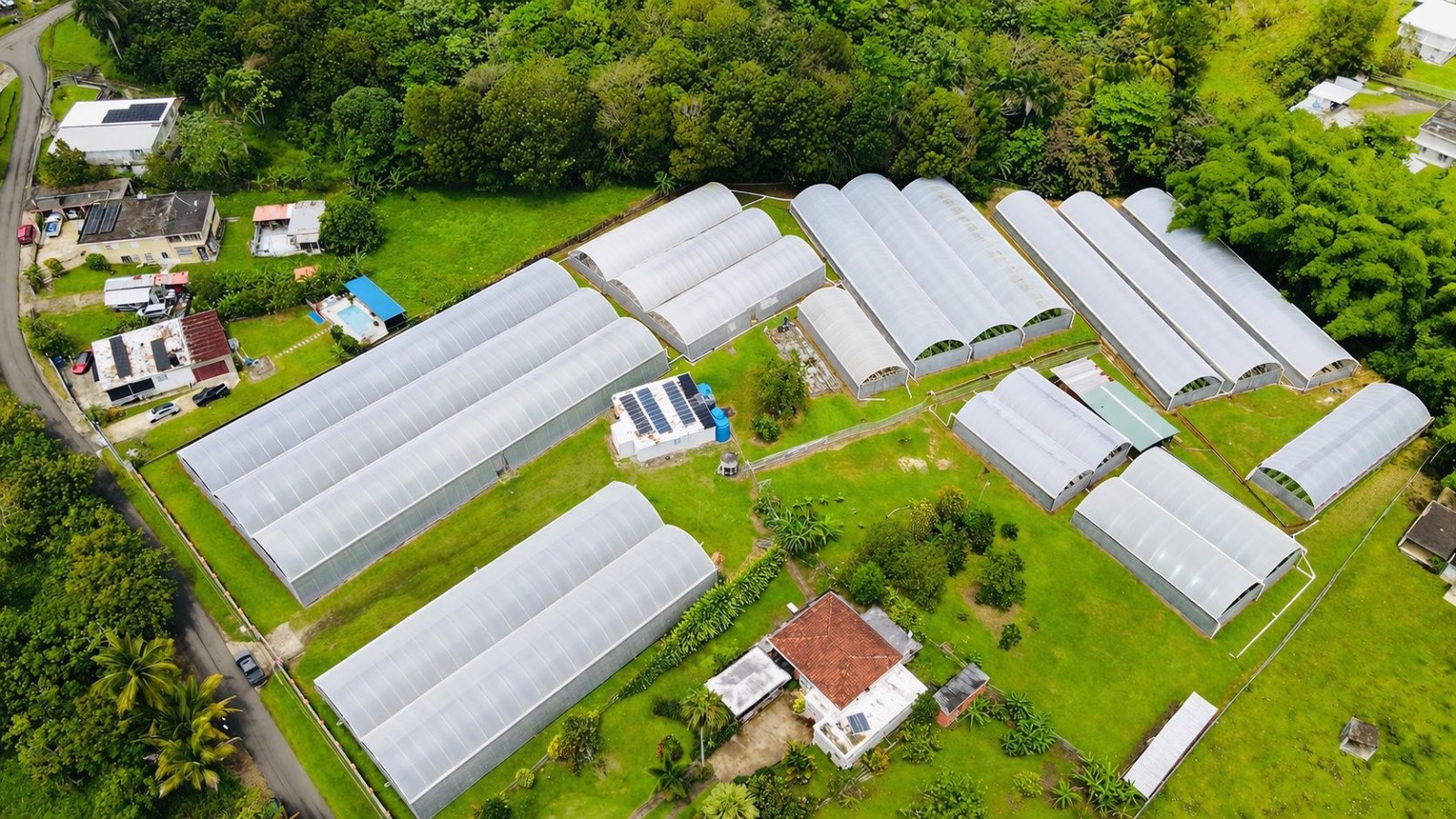 137 Km. 9.9, Bo. Franquez La Alianza, Morovis - 1