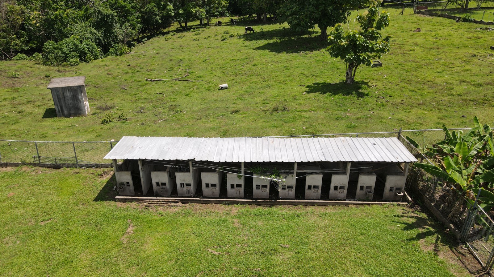 137 Km. 9.9, Bo. Franquez La Alianza, Morovis - 3