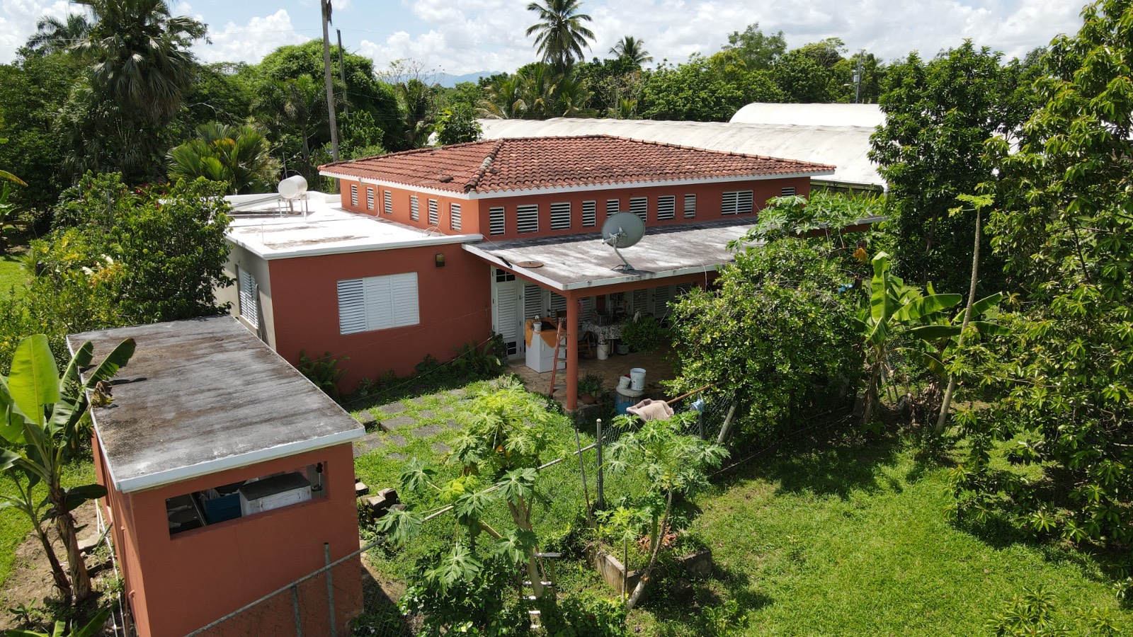 137 Km. 9.9, Bo. Franquez La Alianza, Morovis - 6