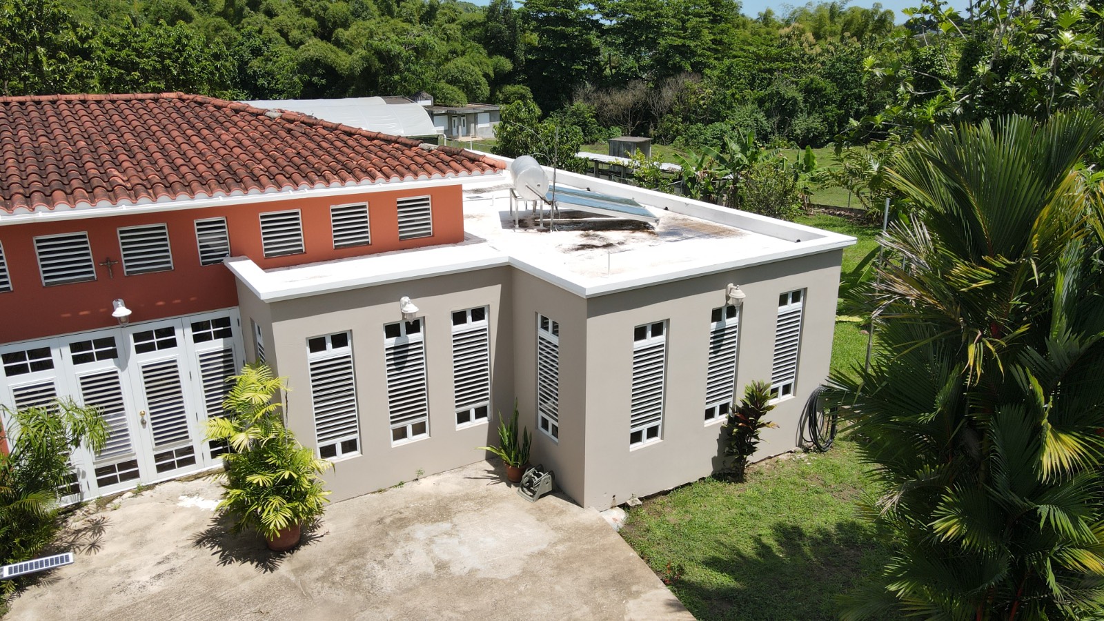 137 Km. 9.9, Bo. Franquez La Alianza, Morovis - 8