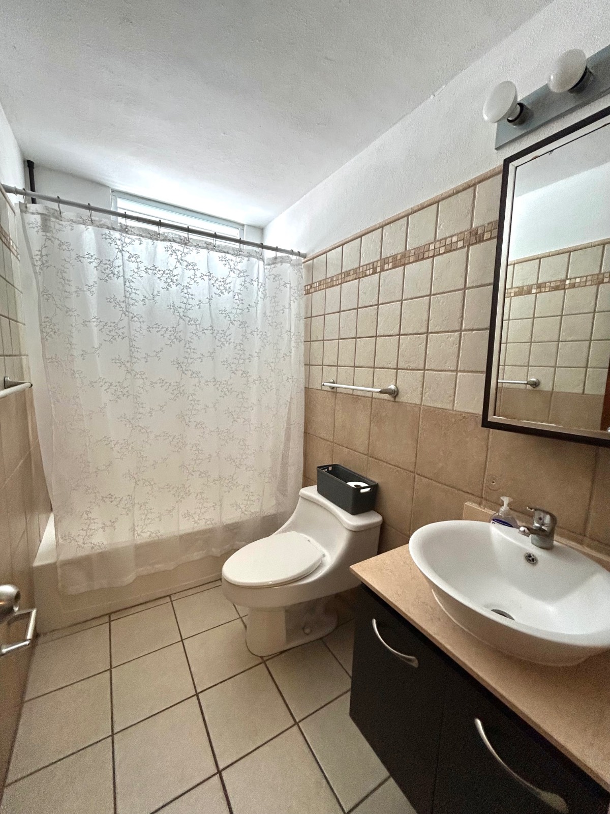 P4, P4, Calle Flor De Tana, Canovanas - 15