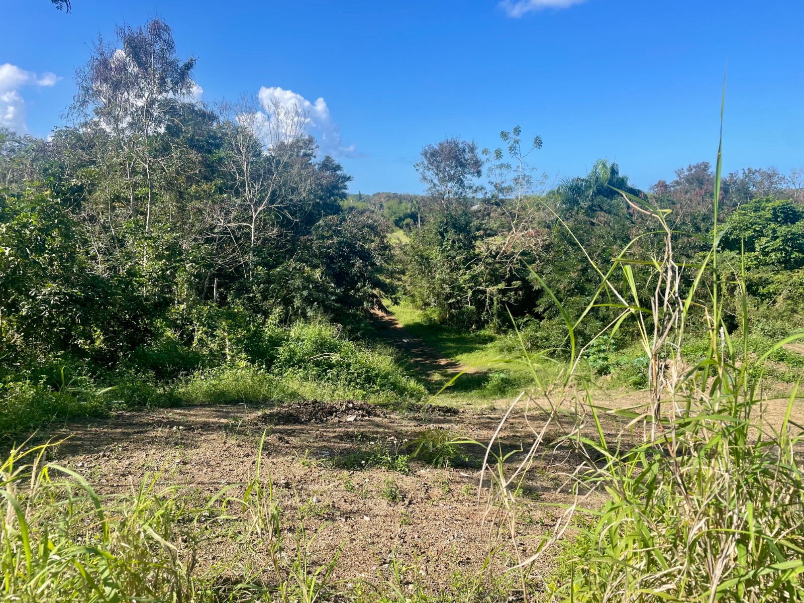 Pr-312, Monte Grande Ward, Cabo Rojo - 3
