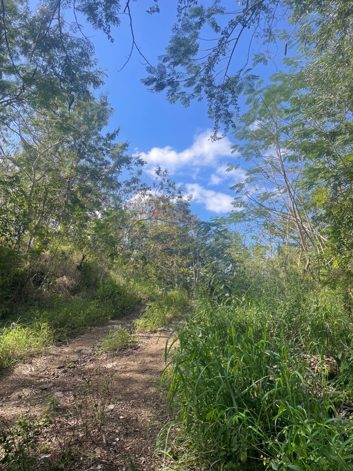 Pr-312, Monte Grande Ward, Cabo Rojo - 4