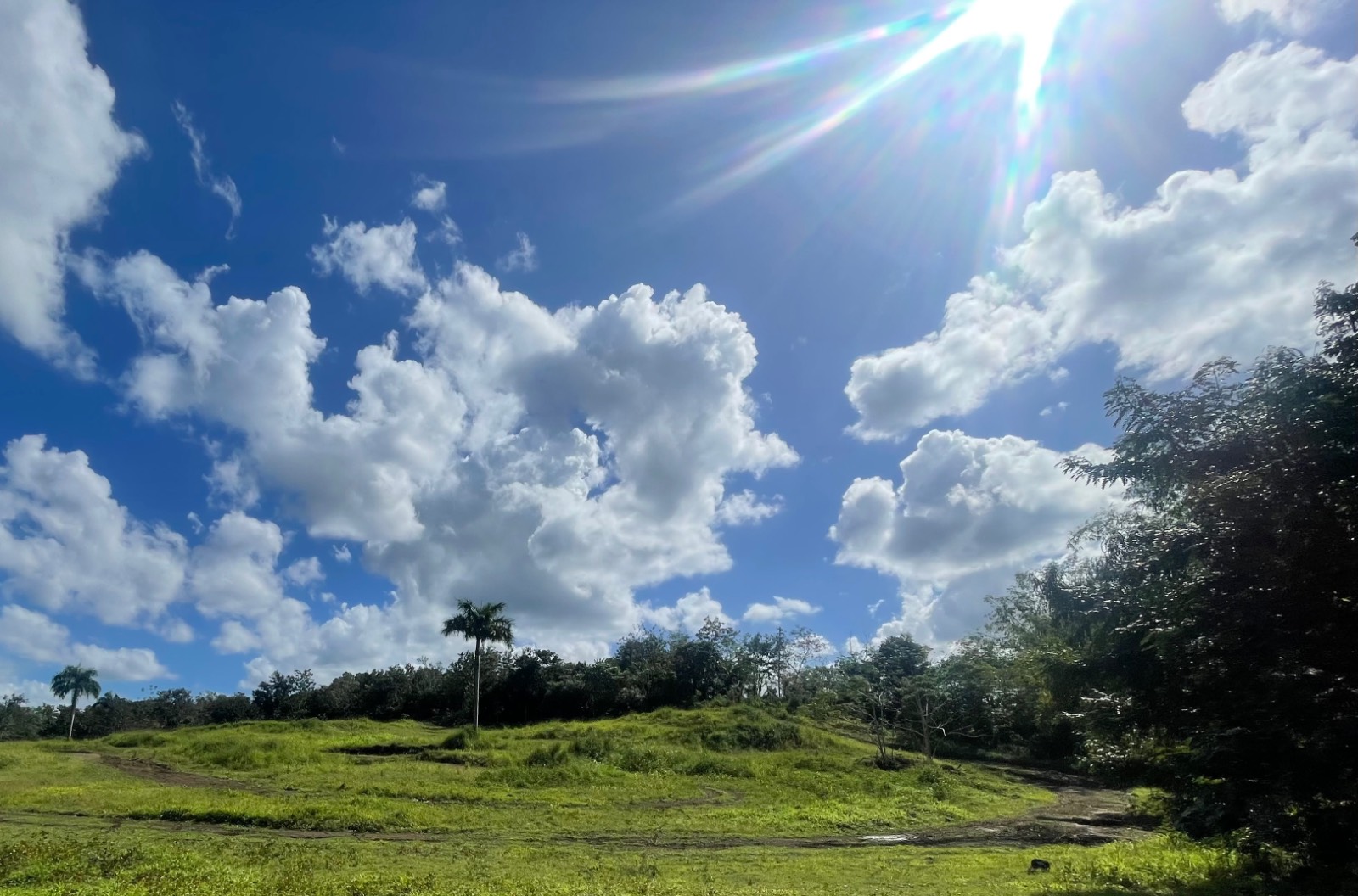 Pr-312, Monte Grande Ward, Cabo Rojo - 6