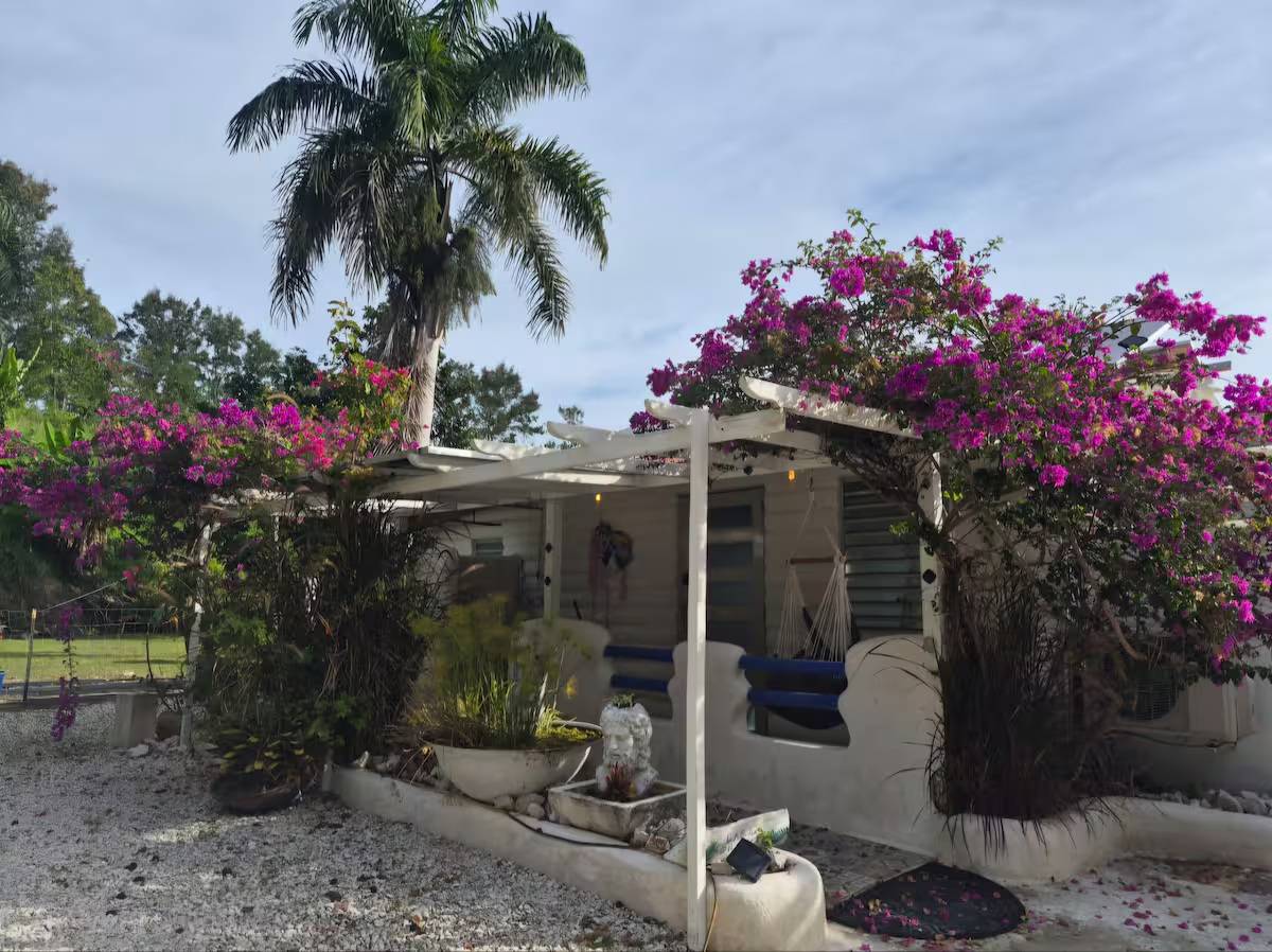 B.o Cruces, Rincon, Rincon - 22
