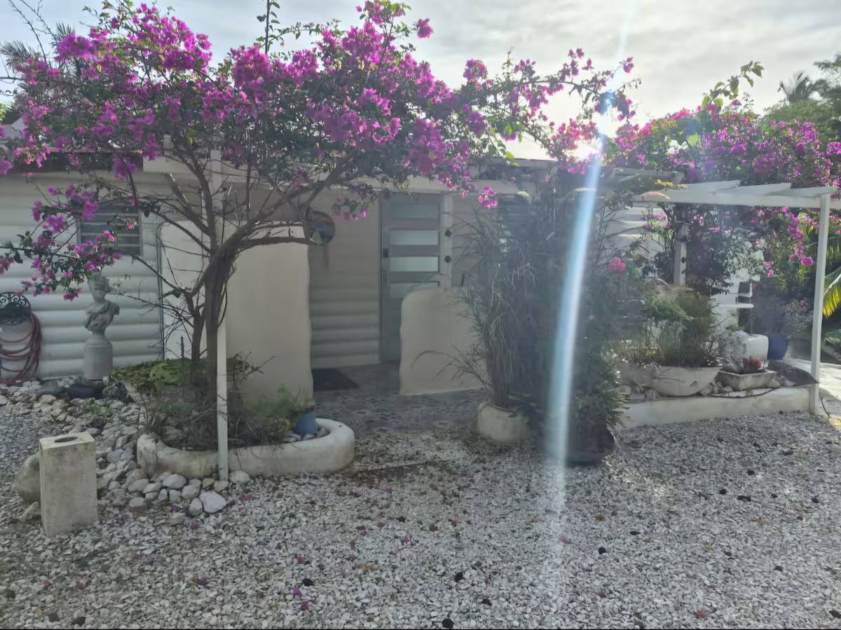 B.o Cruces, Rincon, Rincon - 25