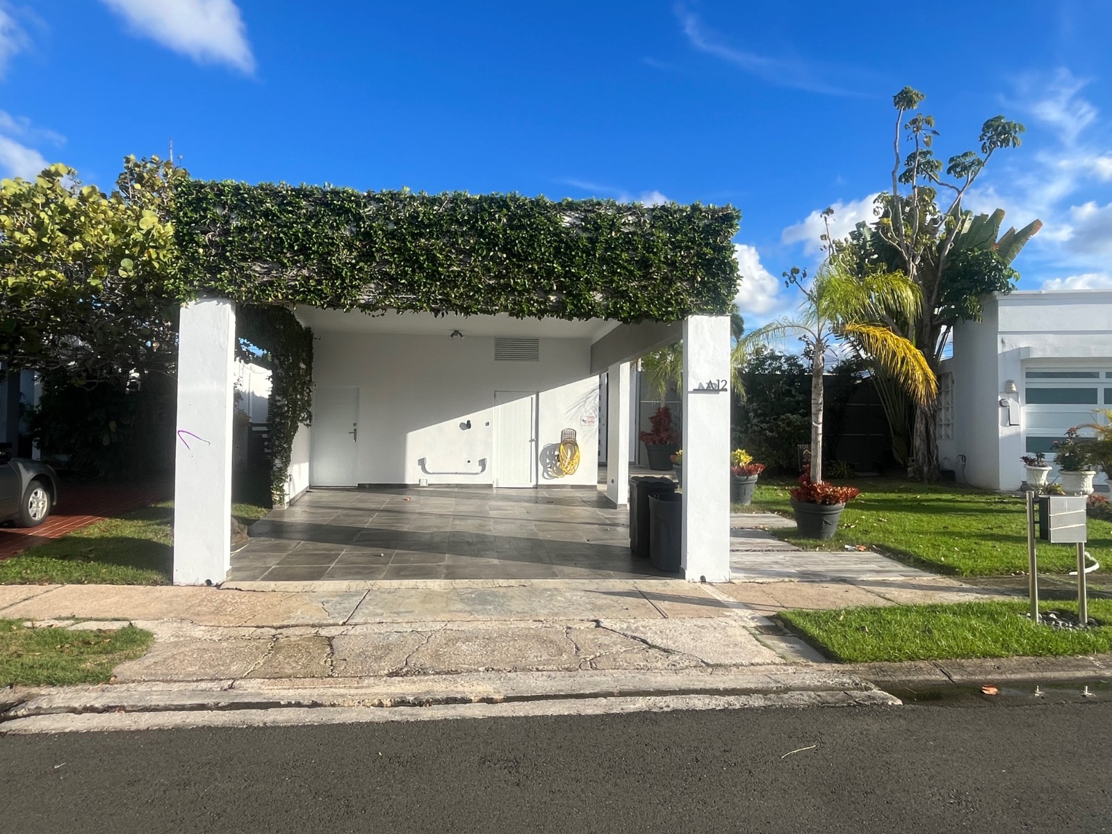 A12, 4, Ninfa Del Mar, Dorado - 5