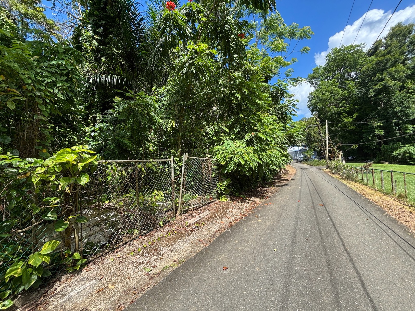 Terreno en Vega Baja
