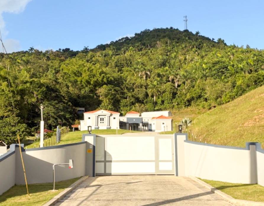 172, Urb. Arroyata, Cidra - 2