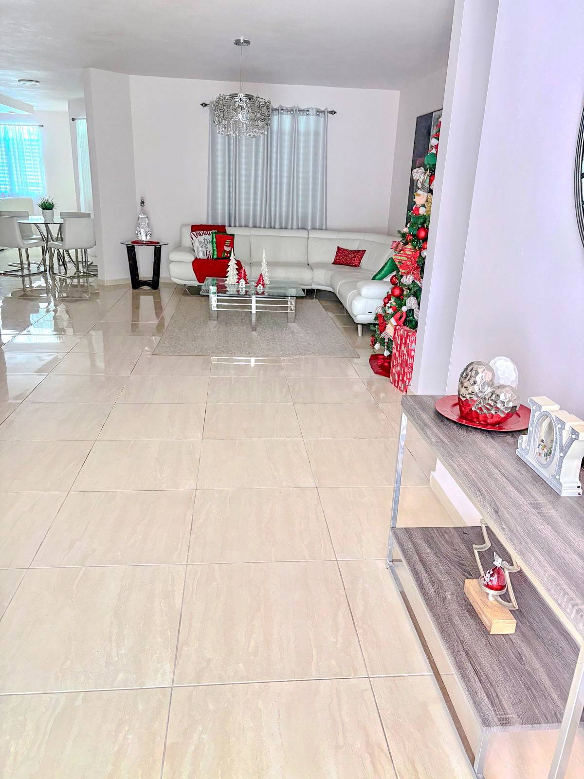 172, Urb. Arroyata, Cidra - 9