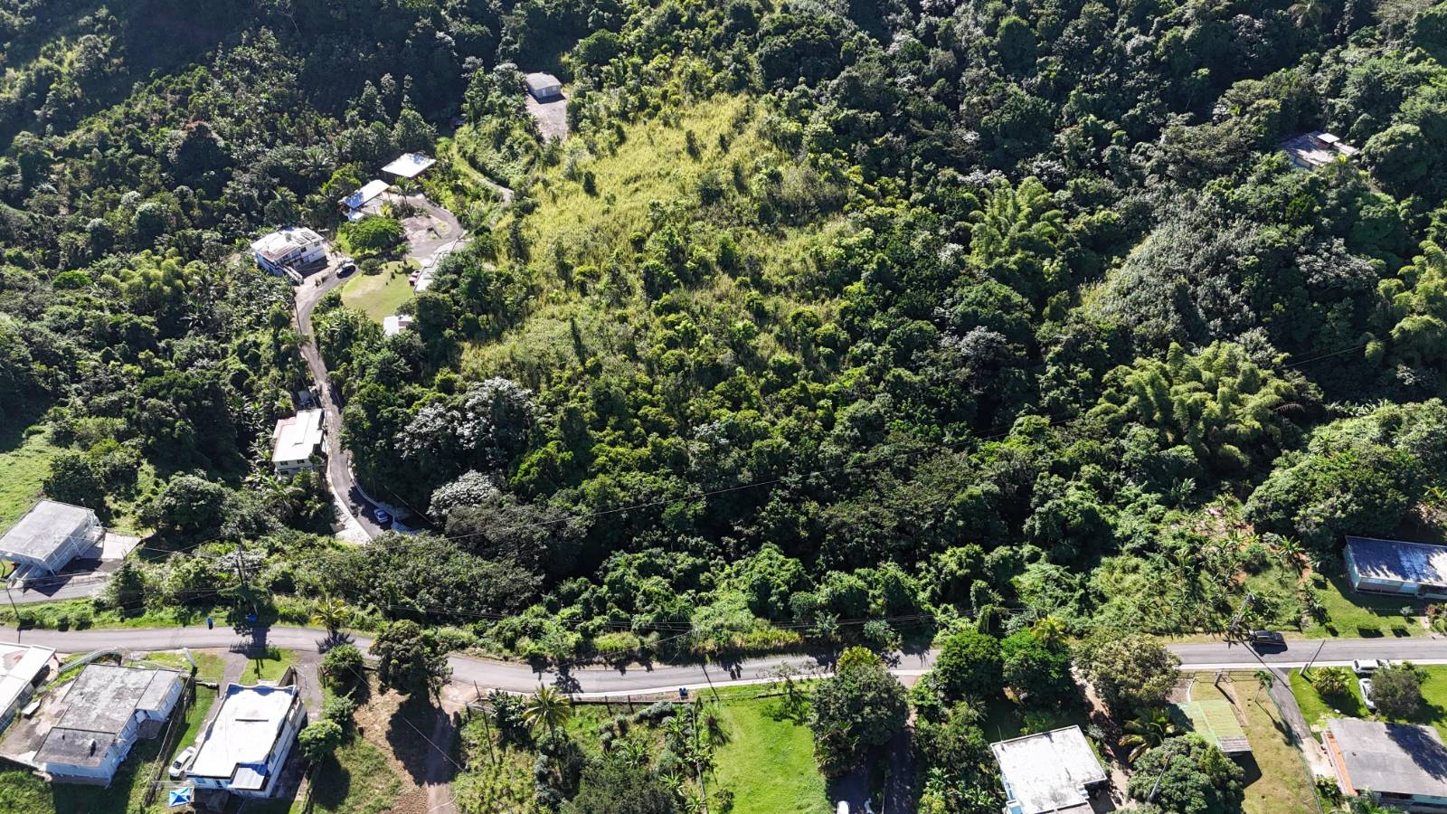 Carr. 155 Kmhm, Barrio Perchas, Morovis - 10
