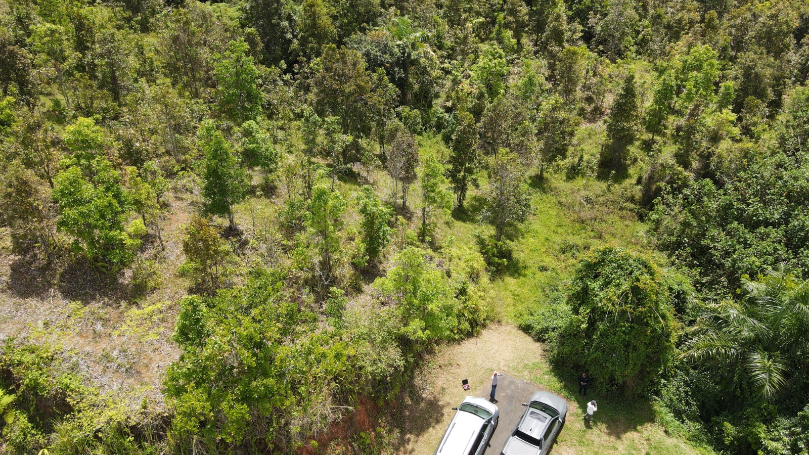 185, Bo Campo Rico, Sec. Peniel , Carr 185 Km, Canovanas - 4