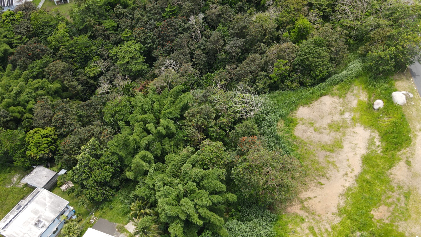 Terreno en Humacao