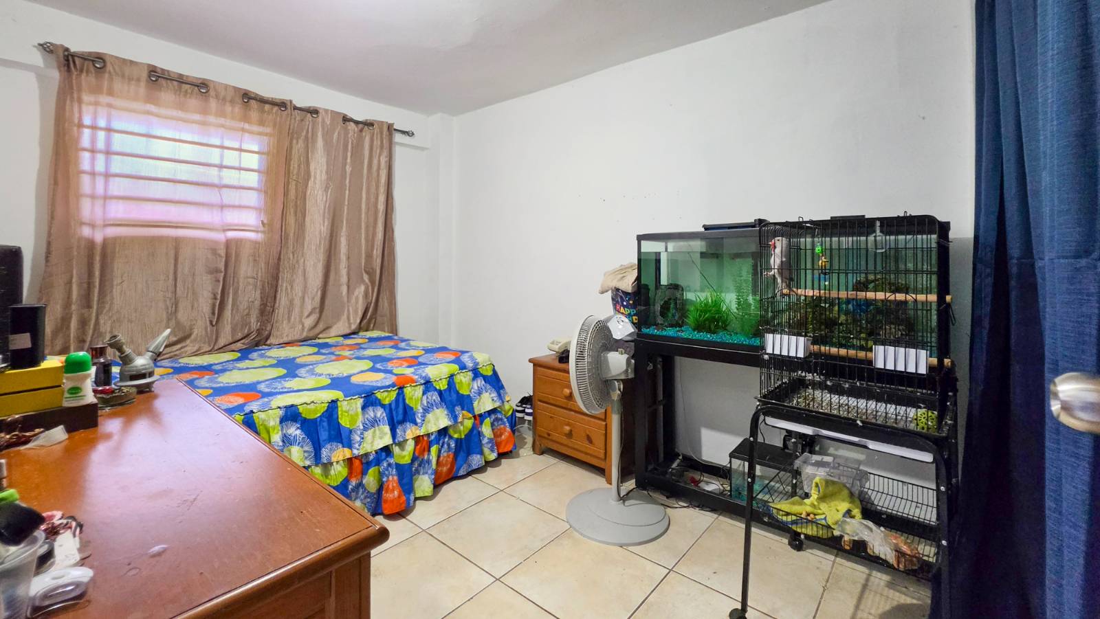 00, San Fransisco, Aguada - 27