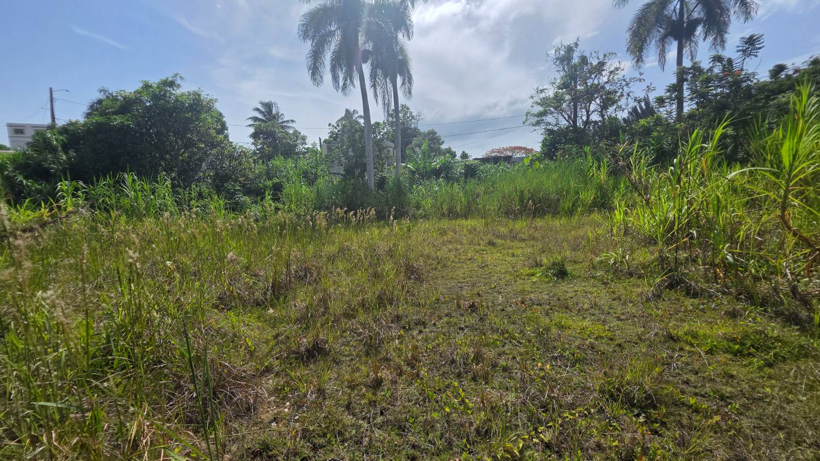 Bo., Planas, Isabela - 2