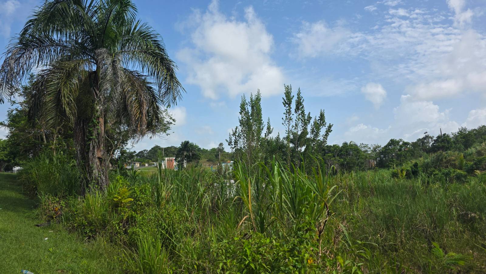 Bo., Planas, Isabela - 5