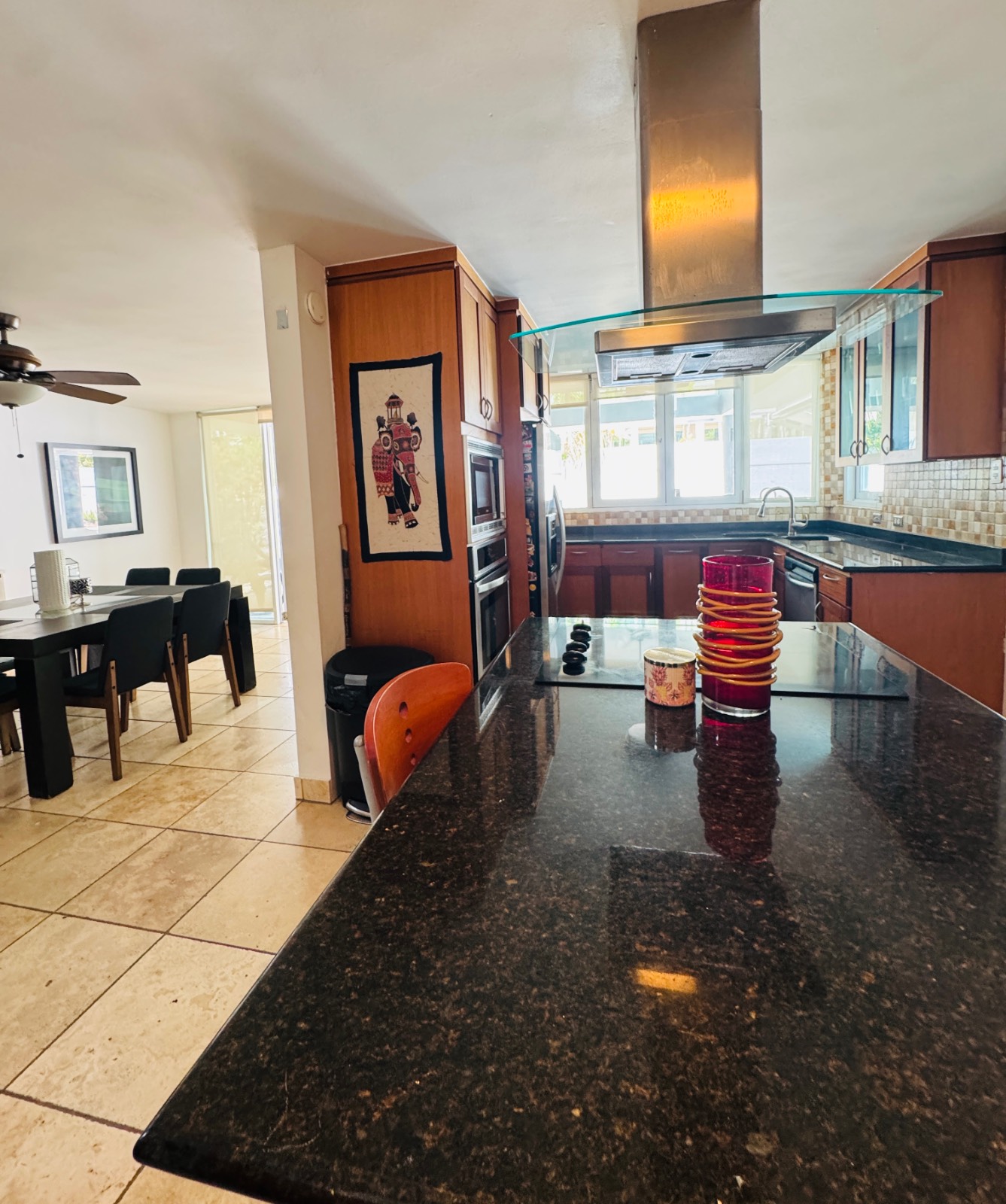 54, Princesa Diana, Guaynabo - 7