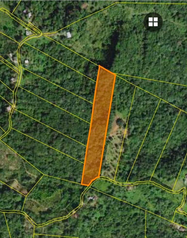 Solar #9, Bo. Don Alonso, Sec. Hacienda Roses, Utuado - 1