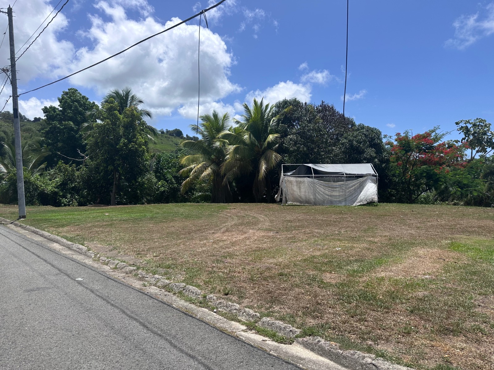 Solar 67, 67, Calle 7, Yabucoa - 4