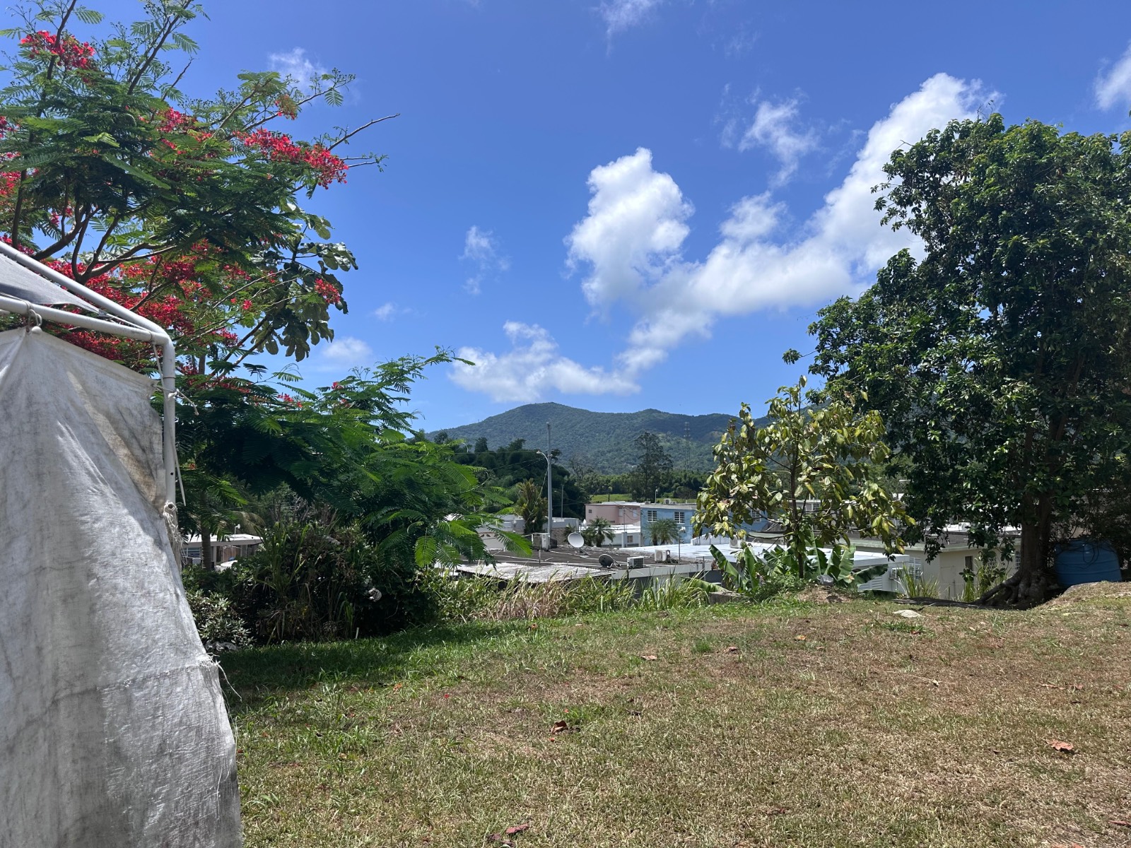 Solar 67, 67, Calle 7, Yabucoa - 5