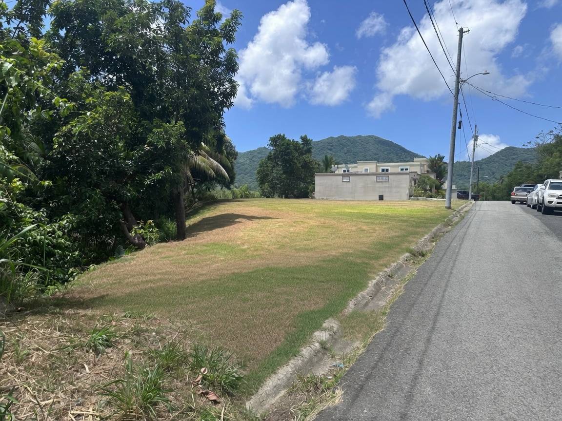 Solar 67, 67, Calle 7, Yabucoa - 6