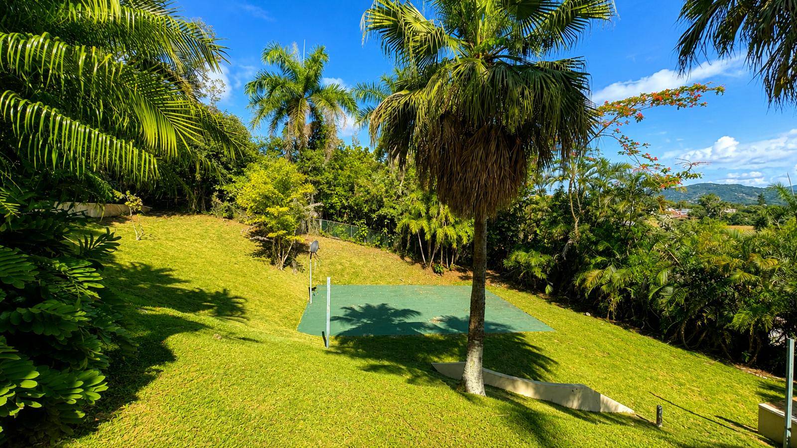 37, Camino Real, Camino Del Bosque, Caguas - 39