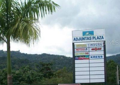 10, Pr-10, Adjuntas - 2