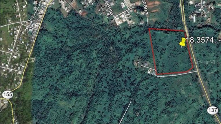 Pr137, Morovis - 1