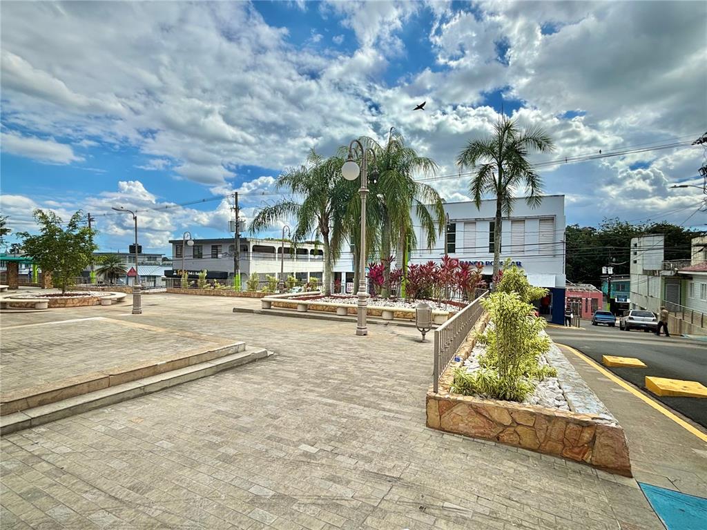 20, Luis Munoz Rivera, Aguas Buenas - 3