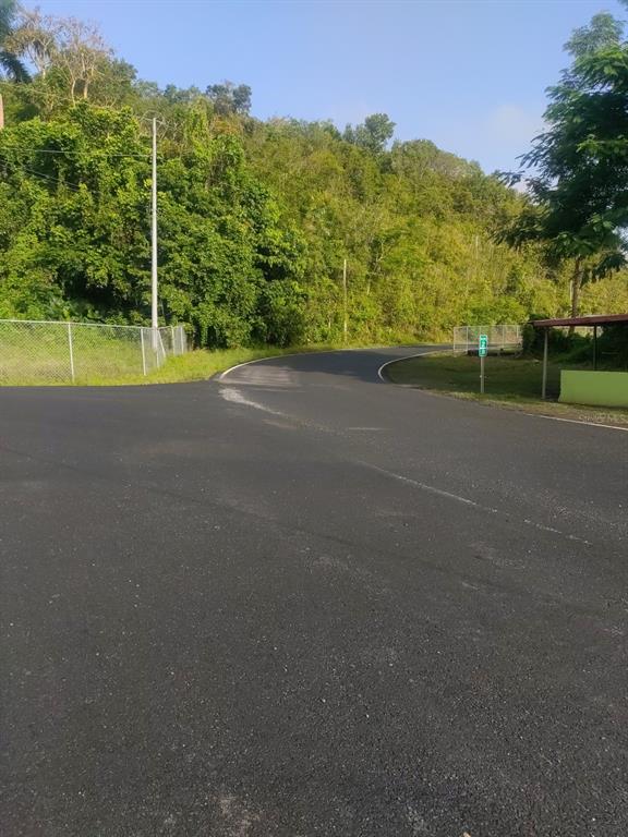 Carr 821 Km 1.9, Corozal - 2
