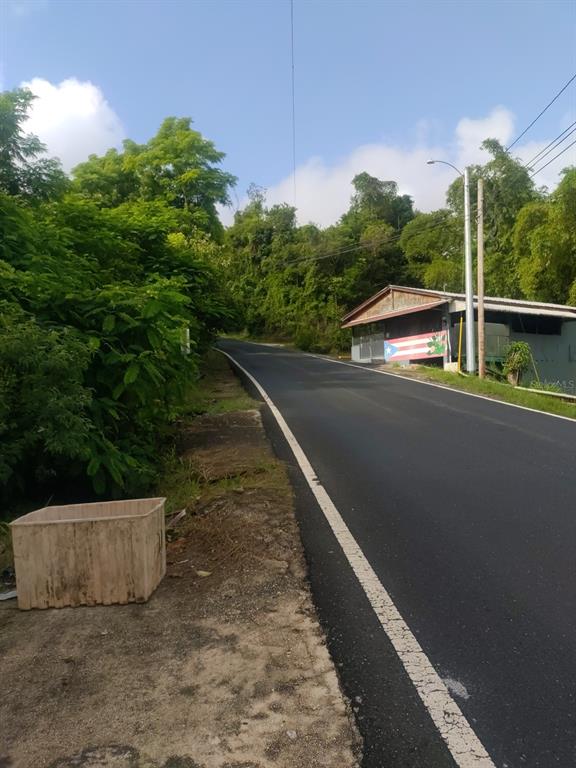 Carr 821 Km 1.9, Corozal - 3