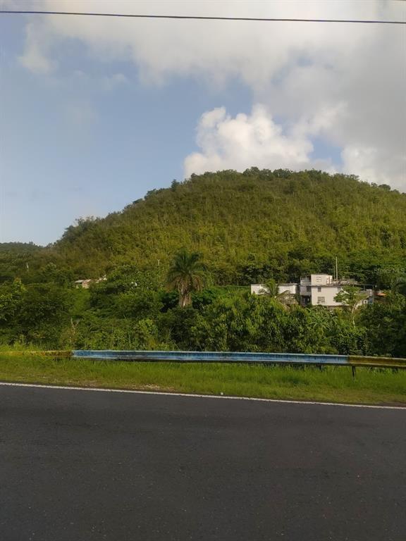 Carr 821 Km 1.9, Corozal - 4