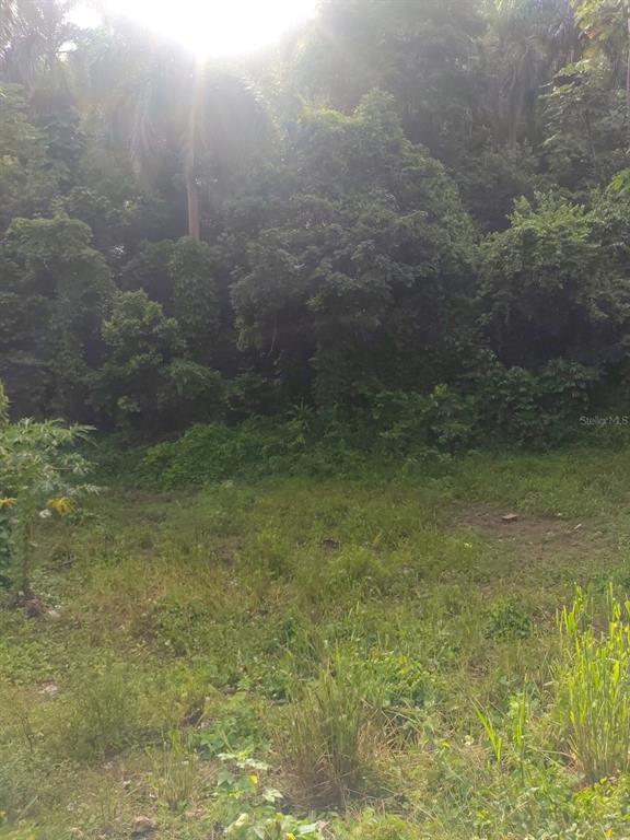 Carr 821 Km 1.9, Corozal - 6