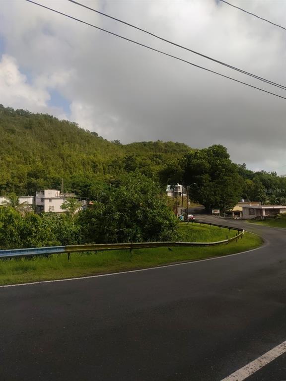 Carr 821 Km 1.9, Corozal - 9