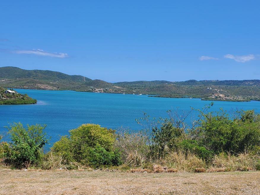 D101, D101, Bahia Marina Condominium Resort, Culebra - 1