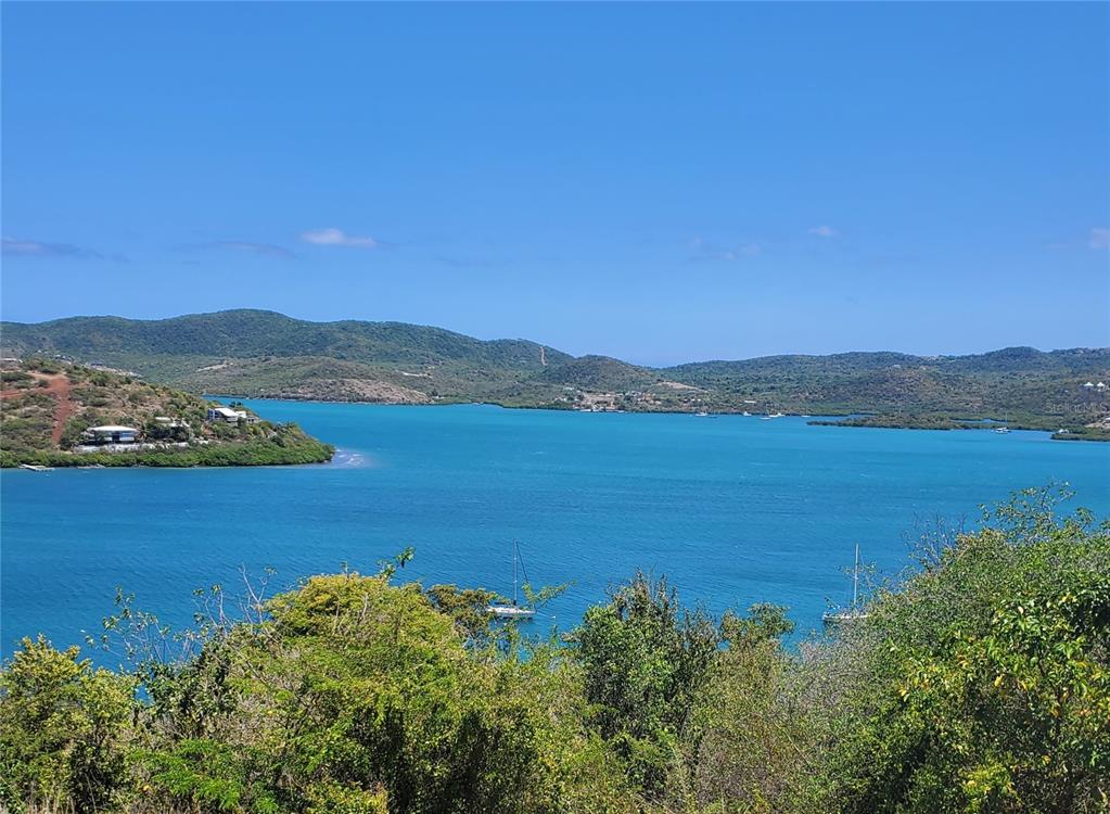 D201, D201, Bahia Marina Resort Condominium, Culebra - 3