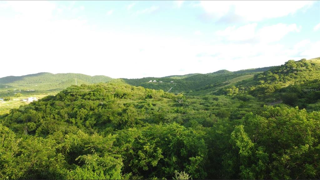 1, Barrio Frailes, Culebra - 6